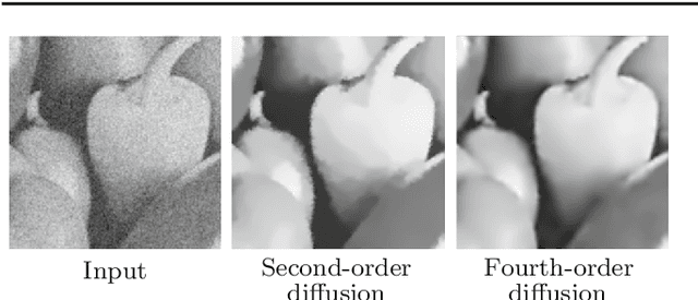Figure 1 for Multi-Scale Anisotropic Fourth-Order Diffusion Improves Ridge and Valley Localization