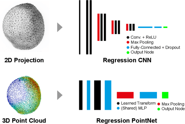 Figure 3 for Towards Automatic Embryo Staging in 3D+T Microscopy Images using Convolutional Neural Networks and PointNets