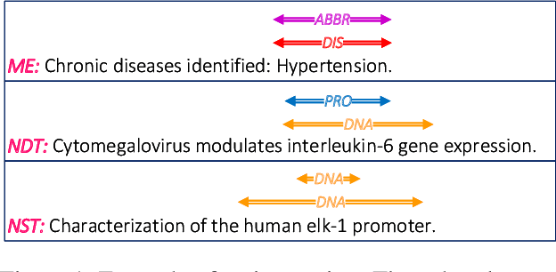 Figure 1 for Type-supervised sequence labeling based on the heterogeneous star graph for named entity recognition