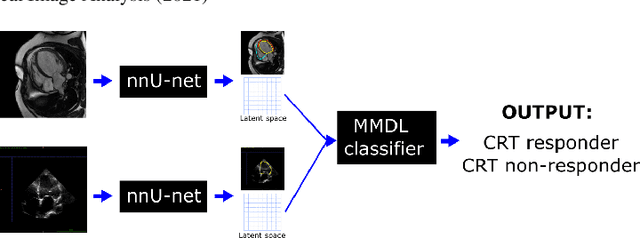 Figure 1 for A Multimodal Deep Learning Model for Cardiac Resynchronisation Therapy Response Prediction