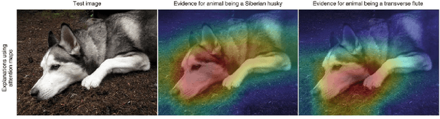 Figure 3 for Interpretable Image Recognition with Hierarchical Prototypes