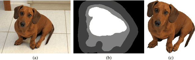 Figure 2 for Simple Interactive Image Segmentation using Label Propagation through kNN graphs