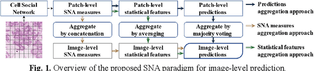 Figure 1 for Cells are Actors: Social Network Analysis with Classical ML for SOTA Histology Image Classification