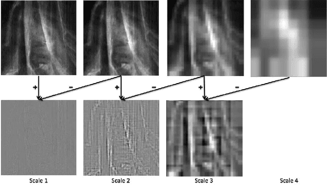 Figure 3 for Multi-modal dictionary learning for image separation with application in art investigation