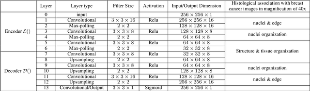 Figure 4 for Discriminative Pattern Mining for Breast Cancer Histopathology Image Classification via Fully Convolutional Autoencoder