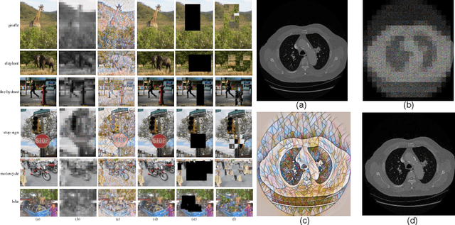 Figure 3 for Treatment Learning Transformer for Noisy Image Classification