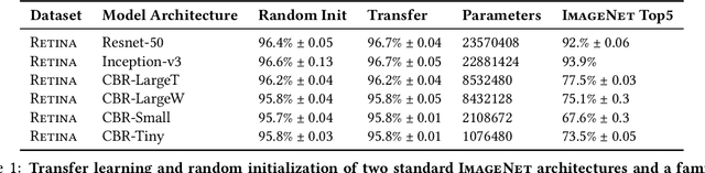 Figure 2 for Transfusion: Understanding Transfer Learning with Applications to Medical Imaging