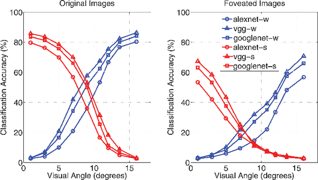 Figure 3 for Modeling the Contribution of Central Versus Peripheral Vision in Scene, Object, and Face Recognition