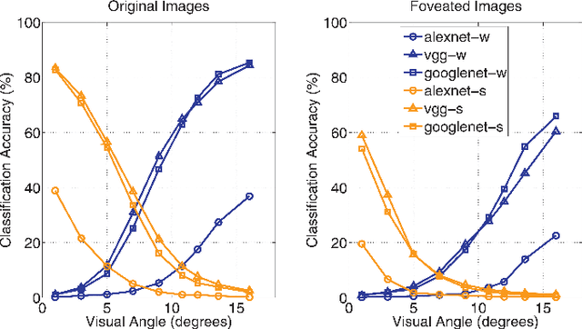 Figure 4 for Modeling the Contribution of Central Versus Peripheral Vision in Scene, Object, and Face Recognition