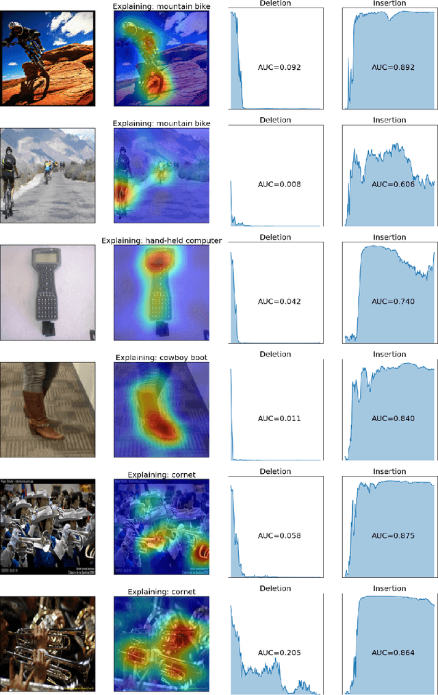 Figure 2 for RISE: Randomized Input Sampling for Explanation of Black-box Models