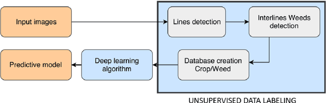 Figure 1 for Deep Learning with unsupervised data labeling for weeds detection on UAV images