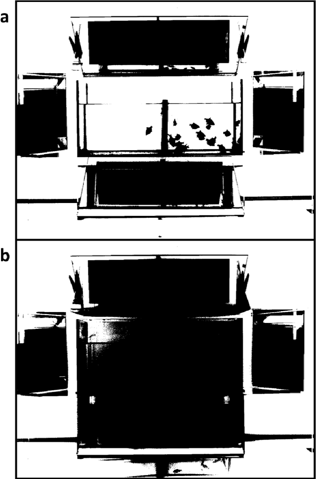 Figure 4 for Colorimetric Calibration of a Digital Camera