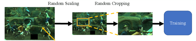 Figure 3 for Convolutional Mean: A Simple Convolutional Neural Network for Illuminant Estimation