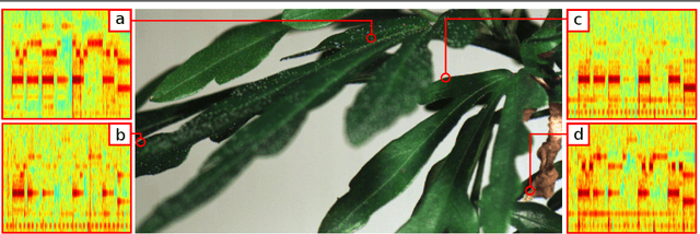 Figure 3 for Local Visual Microphones: Improved Sound Extraction from Silent Video