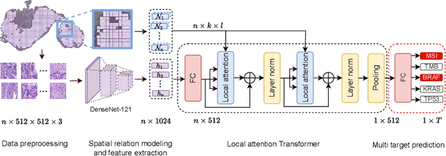 Figure 1 for Local Attention Graph-based Transformer for Multi-target Genetic Alteration Prediction