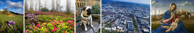 Figure 1 for DeepLens: Shallow Depth Of Field From A Single Image