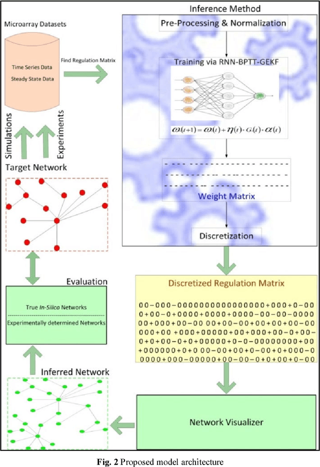 Figure 3 for Recurrent Neural Network Based Hybrid Model of Gene Regulatory Network