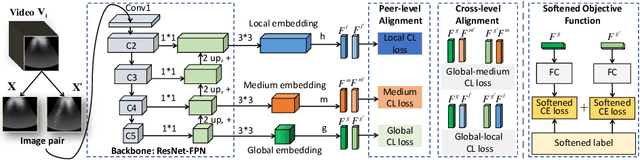 Figure 3 for HiCo: Hierarchical Contrastive Learning for Ultrasound Video Model Pretraining