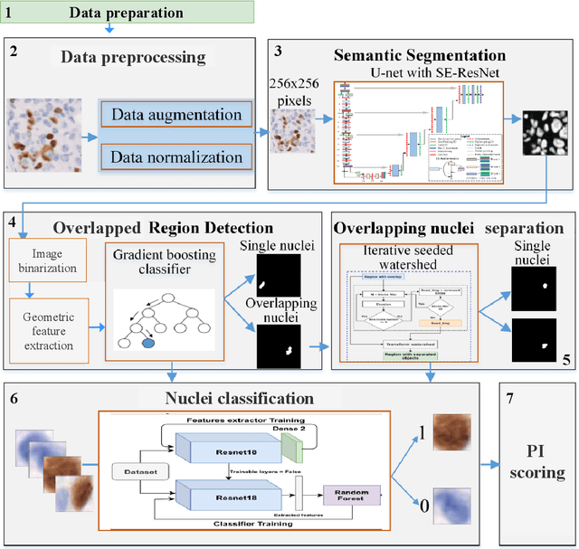 Figure 3 for A deep learning pipeline for breast cancer ki-67 proliferation index scoring