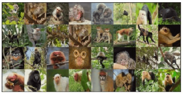 Figure 1 for A Comprehensive Study on Torchvision Pre-trained Models for Fine-grained Inter-species Classification