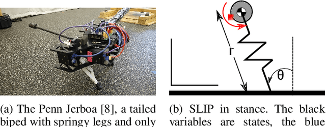 Figure 1 for Technical Report: A New Hopping Controller for Highly Dynamical Bipeds