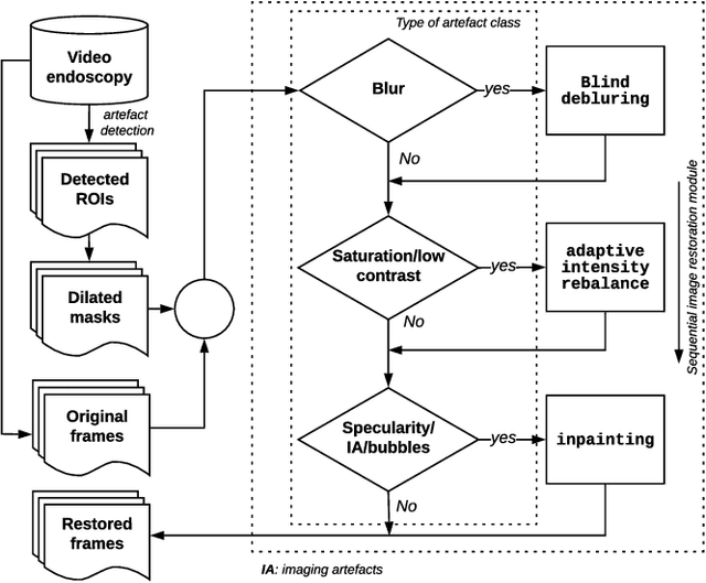 Figure 3 for A deep learning framework for quality assessment and restoration in video endoscopy