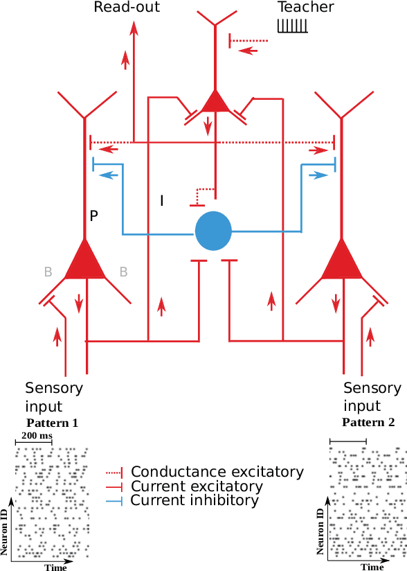 Figure 2 for An error-propagation spiking neural network compatible with neuromorphic processors