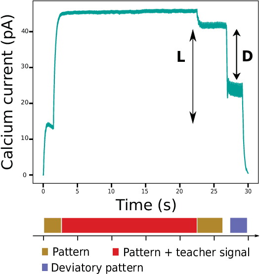 Figure 3 for An error-propagation spiking neural network compatible with neuromorphic processors