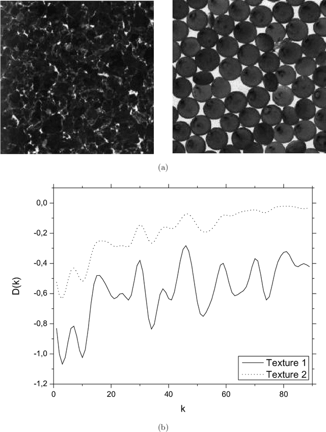 Figure 1 for Enhancing Volumetric Bouligand-Minkowski Fractal Descriptors by using Functional Data Analysis