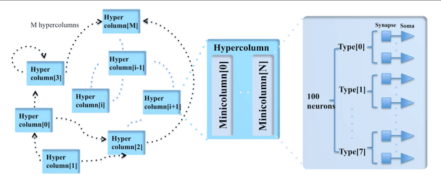 Figure 1 for An FPGA-based Massively Parallel Neuromorphic Cortex Simulator