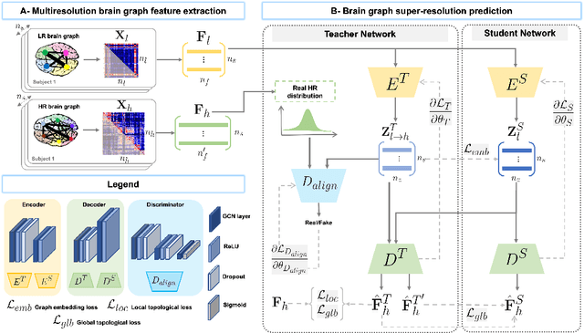 Figure 1 for Inter-Domain Alignment for Predicting High-Resolution Brain Networks Using Teacher-Student Learning