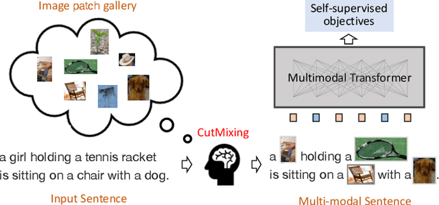 Figure 1 for VLMixer: Unpaired Vision-Language Pre-training via Cross-Modal CutMix