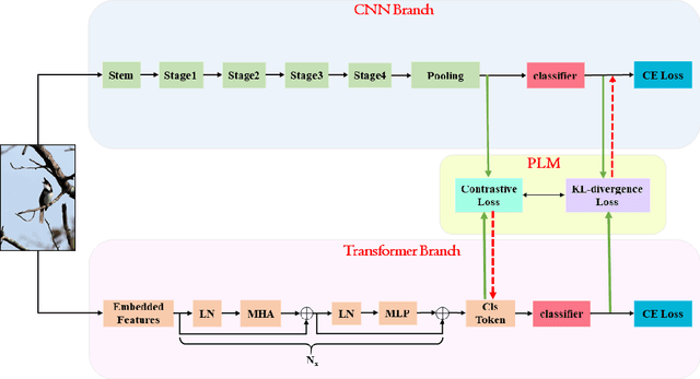 Figure 1 for Vision Pair Learning: An Efficient Training Framework for Image Classification
