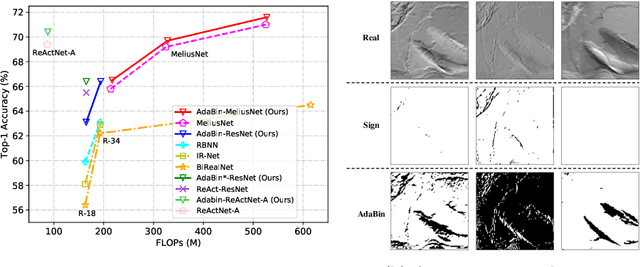 Figure 1 for AdaBin: Improving Binary Neural Networks with Adaptive Binary Sets