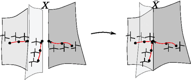 Figure 2 for Towards a theory of statistical tree-shape analysis