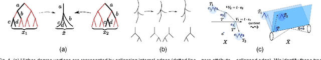 Figure 4 for Towards a theory of statistical tree-shape analysis