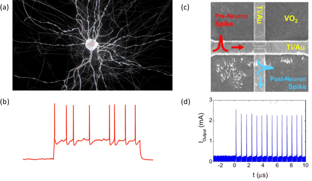 Figure 2 for Quantum materials for energy-efficient neuromorphic computing