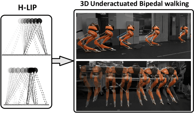 Figure 1 for 3D Underactuated Bipedal Walking via H-LIP based Gait Synthesis and Stepping Stabilization