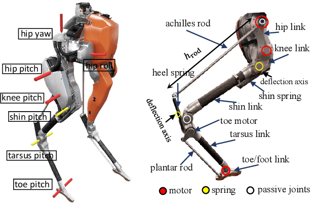 Figure 2 for 3D Underactuated Bipedal Walking via H-LIP based Gait Synthesis and Stepping Stabilization