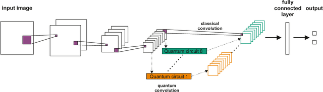 Figure 4 for Quantum-classical convolutional neural networks in radiological image classification