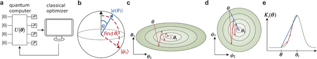 Figure 1 for Optimal training of variational quantum algorithms without barren plateaus