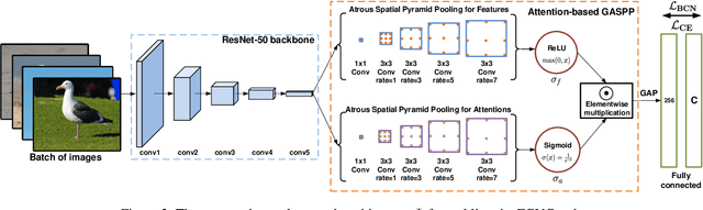 Figure 3 for Fine-Grained Visual Recognition with Batch Confusion Norm