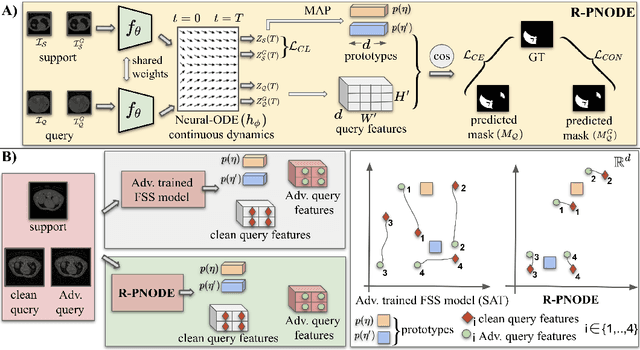 Figure 2 for Robust Prototypical Few-Shot Organ Segmentation with Regularized Neural-ODEs