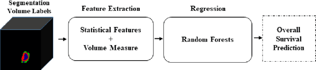Figure 3 for Multi-Resolution 3D CNN for MRI Brain Tumor Segmentation and Survival Prediction