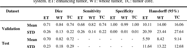 Figure 2 for Multi-Resolution 3D CNN for MRI Brain Tumor Segmentation and Survival Prediction