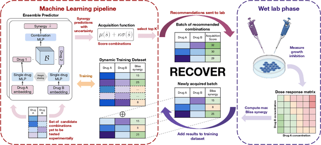Figure 1 for RECOVER: sequential model optimization platform for combination drug repurposing identifies novel synergistic compounds in vitro