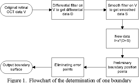 Figure 1 for A 3D Segmentation Method for Retinal Optical Coherence Tomography Volume Data