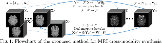 Figure 1 for DOTE: Dual cOnvolutional filTer lEarning for Super-Resolution and Cross-Modality Synthesis in MRI