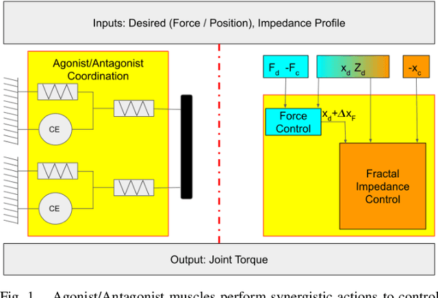 Figure 1 for Bio-mimetic Adaptive Force/Position Control Using Fractal Impedance