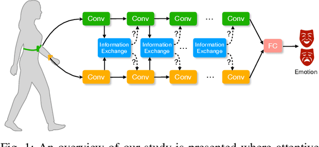 Figure 1 for AttX: Attentive Cross-Connections for Fusion of Wearable Signals in Emotion Recognition